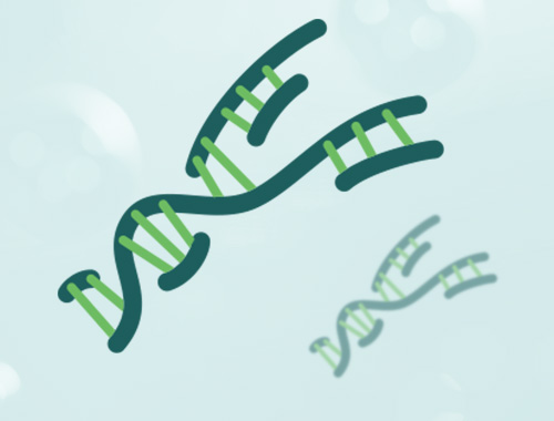RNA Synthesis Service
