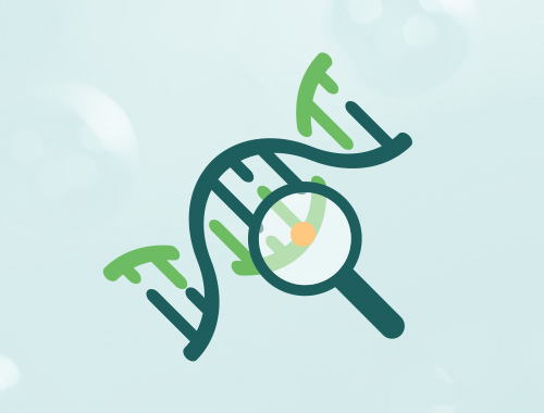 Site Directed Mutagenesis Service