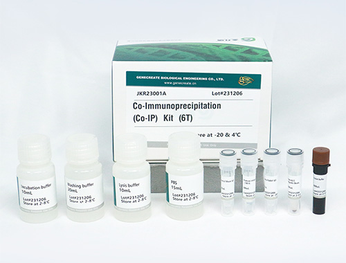 Plant Co-Immunoprecipitation (Co-IP) Kit