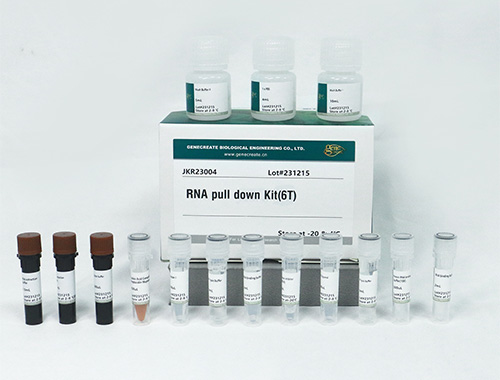 RNA Pull-Down Kit
