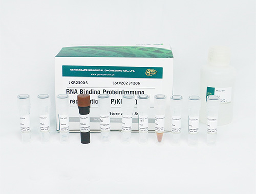 RIP Kit - RNA Binding Protein Immunoprecipitation Kit