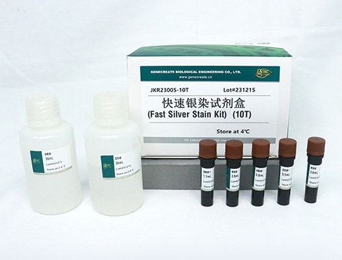 Silver Stain Kit