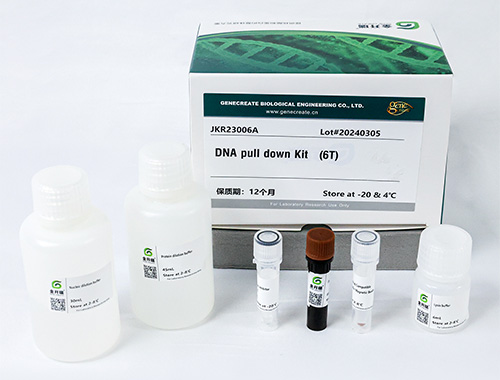 DNA Pull-Down Kit (Animal)