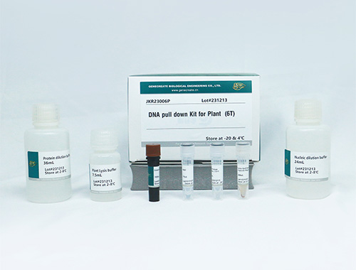 DNA Pull-Down Kit for Plant