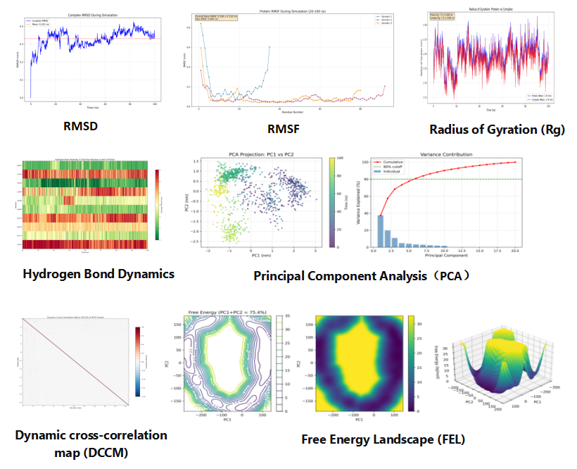 Molecular Dynamics Simulation