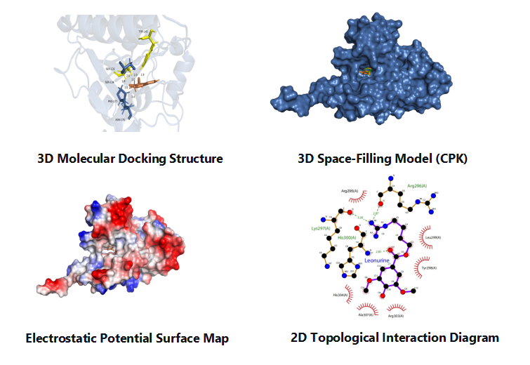Molecular Docking